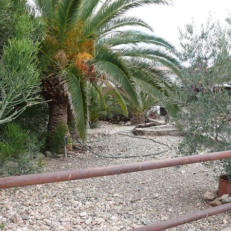 Rooiklip Camp Flintstone Apartment Luaran gambar